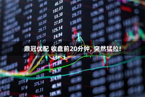 鼎冠优配 收盘前20分钟, 突然猛拉!