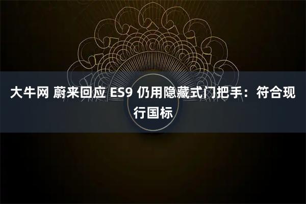大牛网 蔚来回应 ES9 仍用隐藏式门把手：符合现行国标
