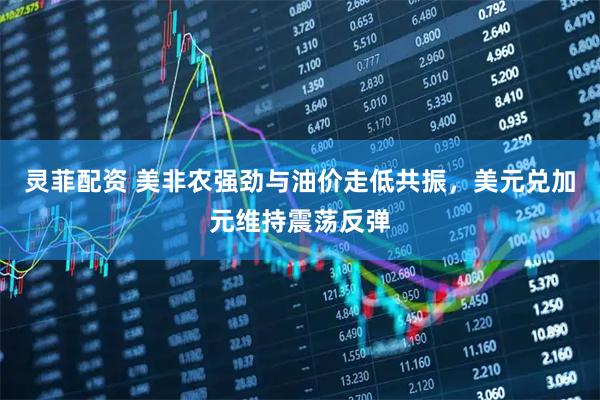 灵菲配资 美非农强劲与油价走低共振，美元兑加元维持震荡反弹